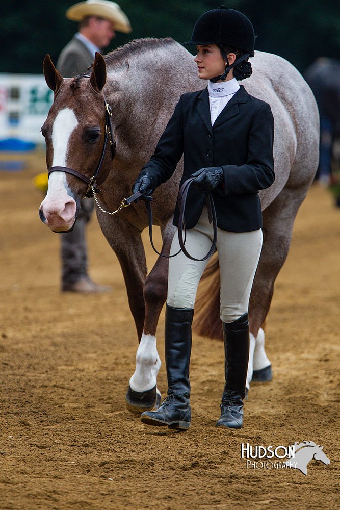 4H-Distr-090813-1323.jpg