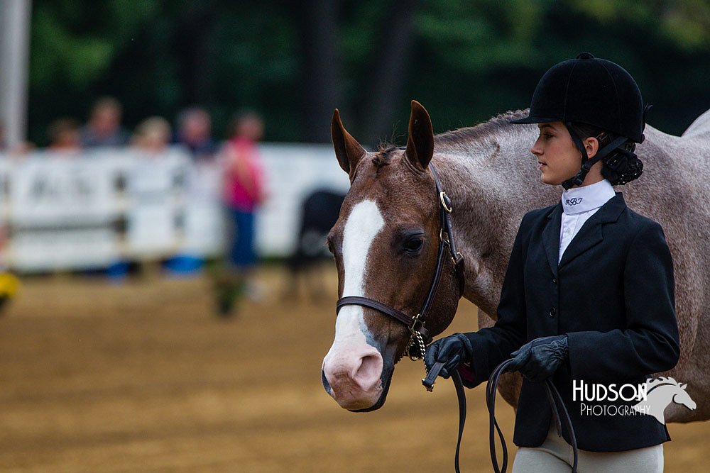 4H-Distr-090813-1324.jpg