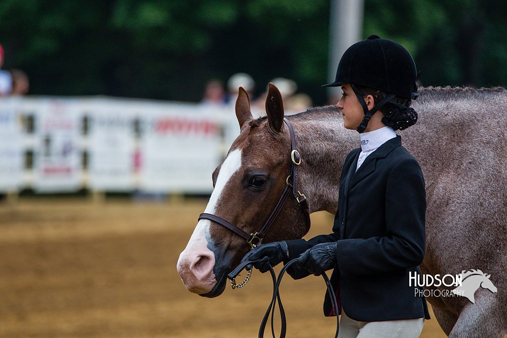 4H-Distr-090813-1325.jpg