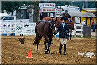 4H-Distr-090813-1300.jpg