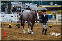 4H-Distr-090813-1312.jpg