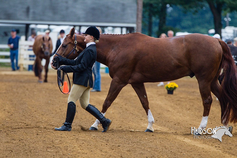 4H-Distr-090813-1257.jpg