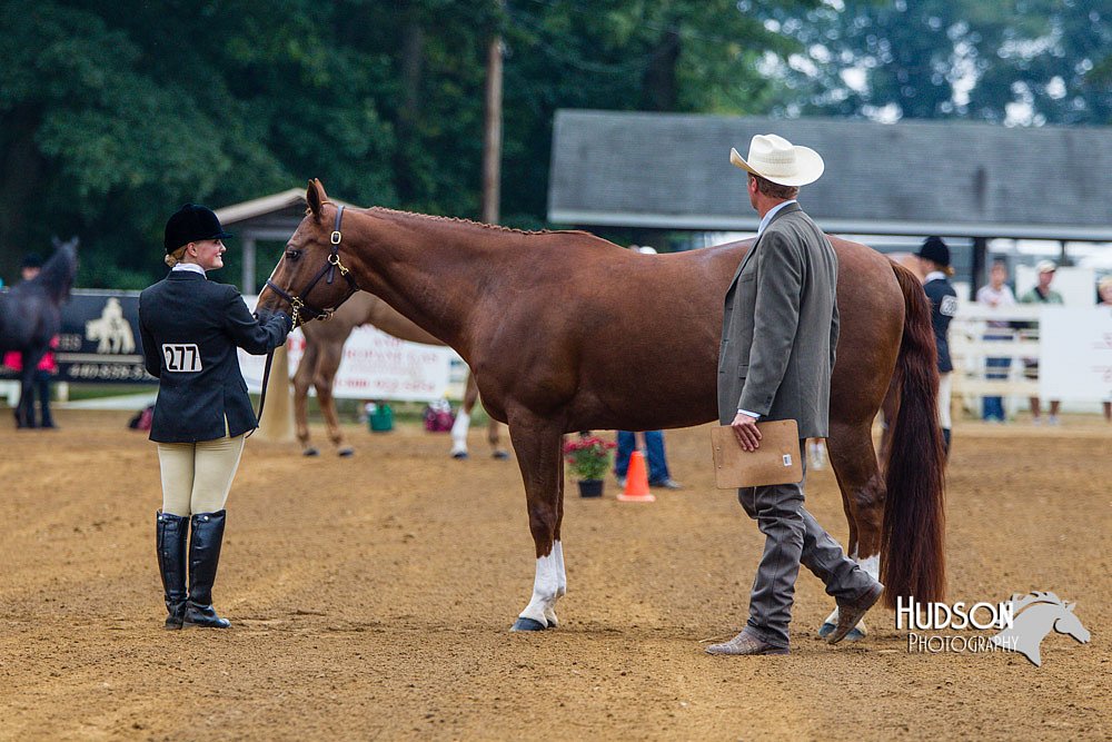 4H-Distr-090813-1259.jpg