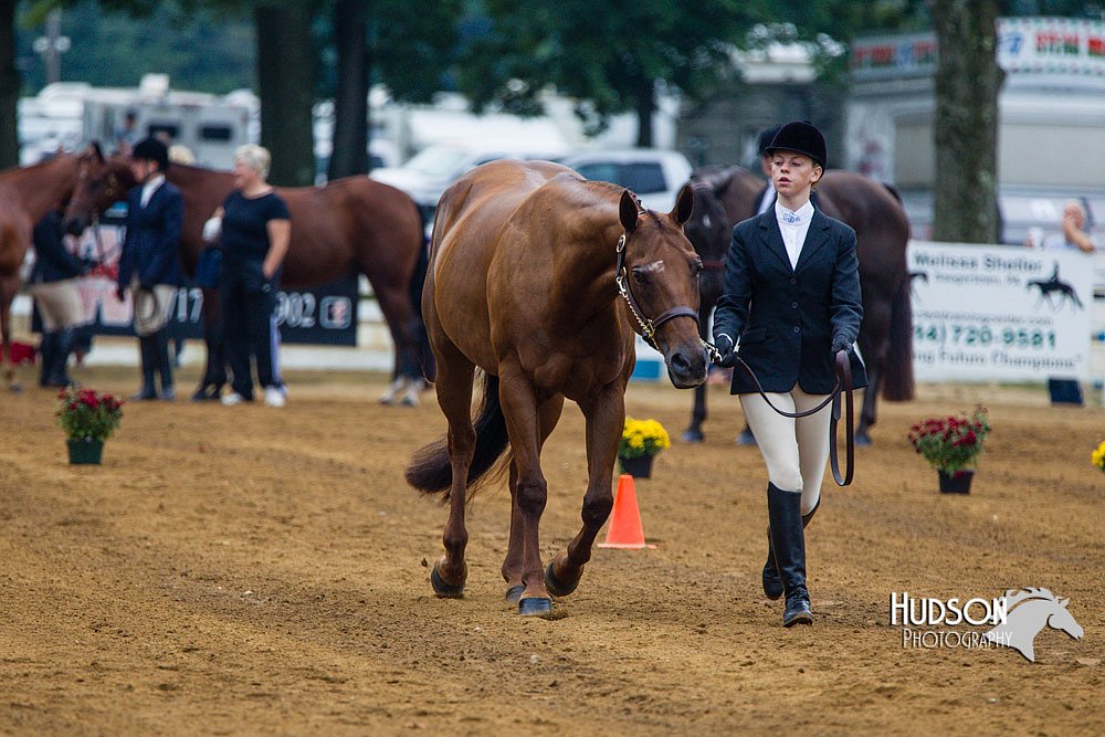 4H-Distr-090813-1263.jpg