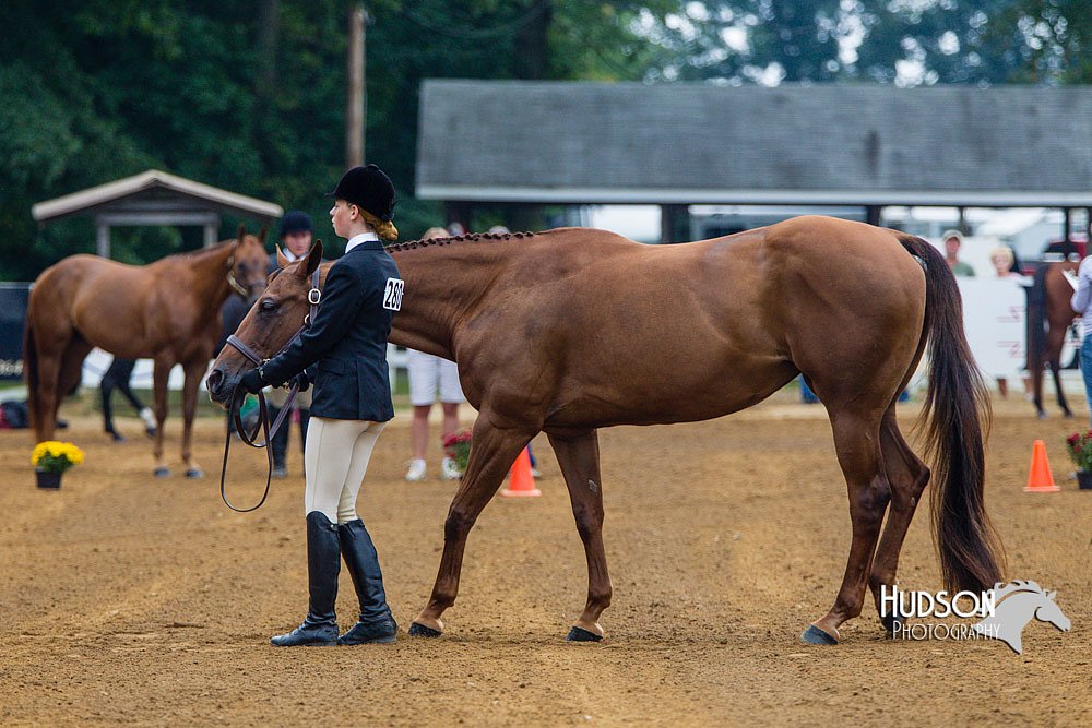 4H-Distr-090813-1267.jpg