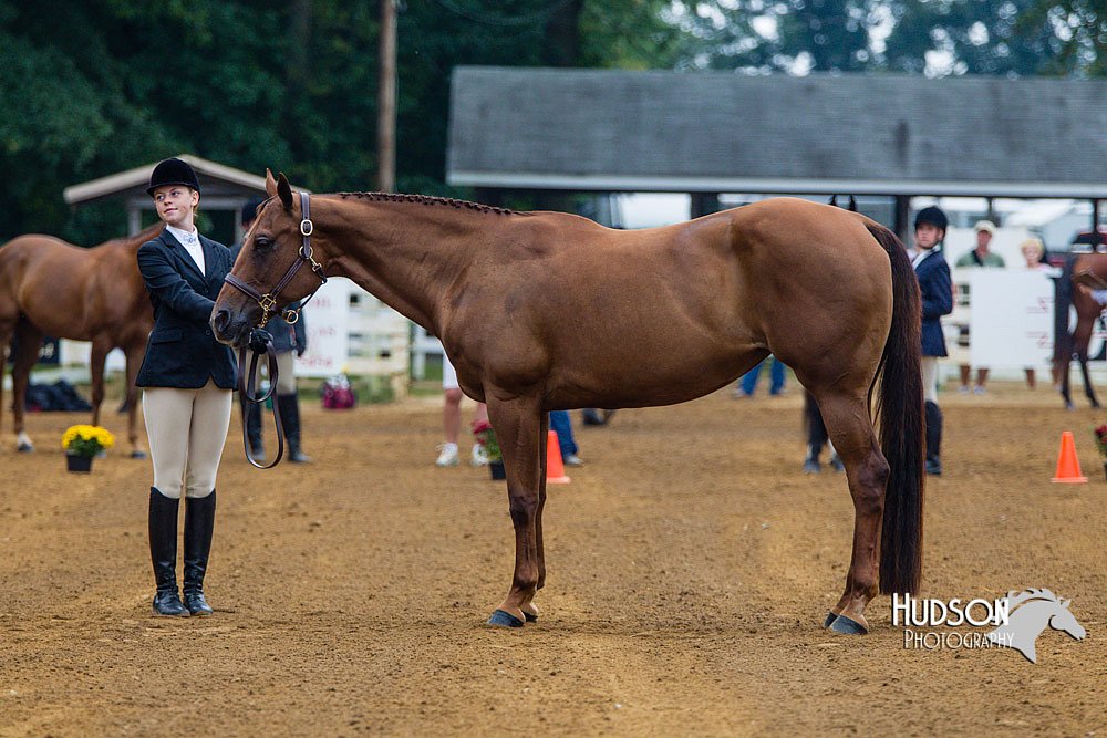 4H-Distr-090813-1270.jpg