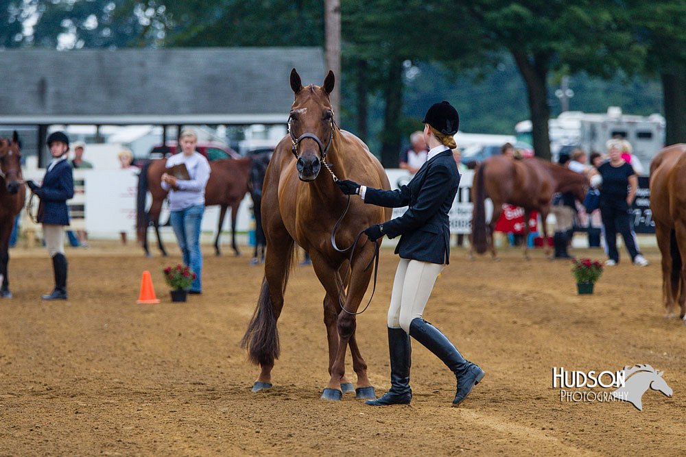 4H-Distr-090813-1271.jpg