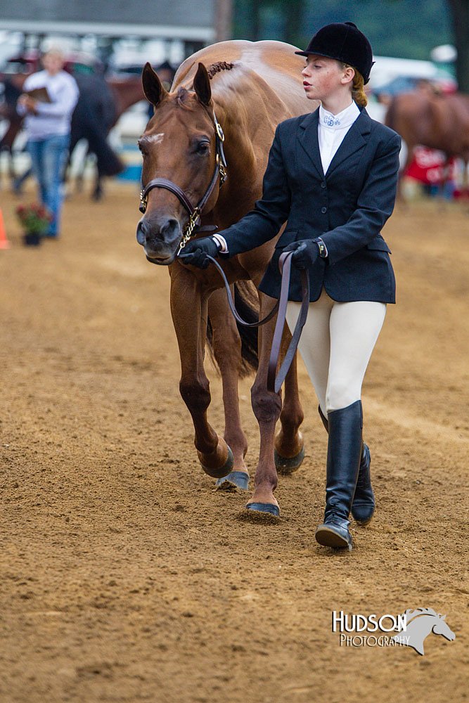 4H-Distr-090813-1272.jpg