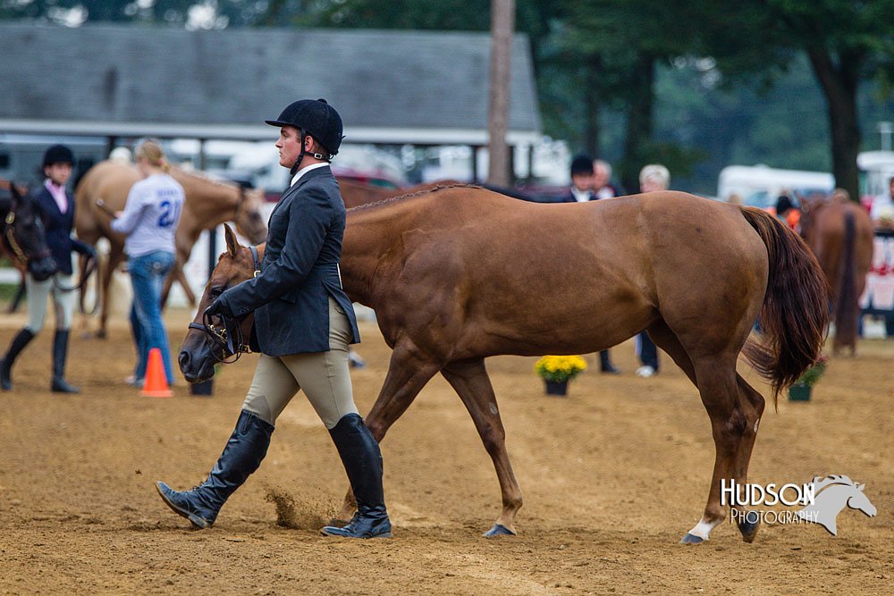 4H-Distr-090813-1277.jpg