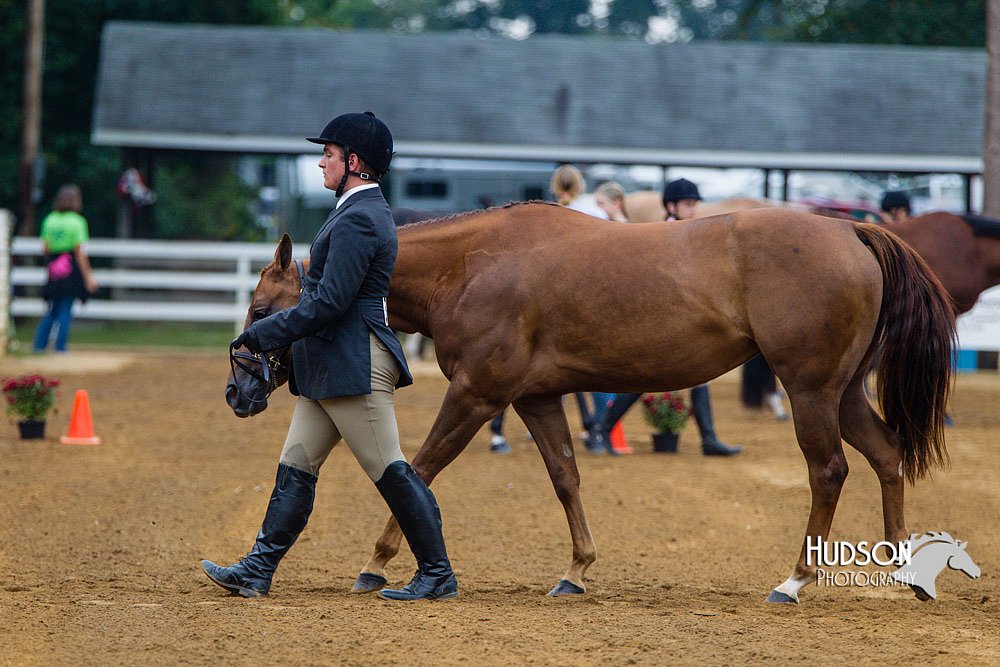 4H-Distr-090813-1278.jpg