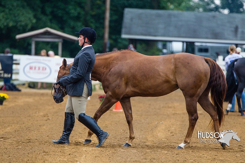 4H-Distr-090813-1279.jpg