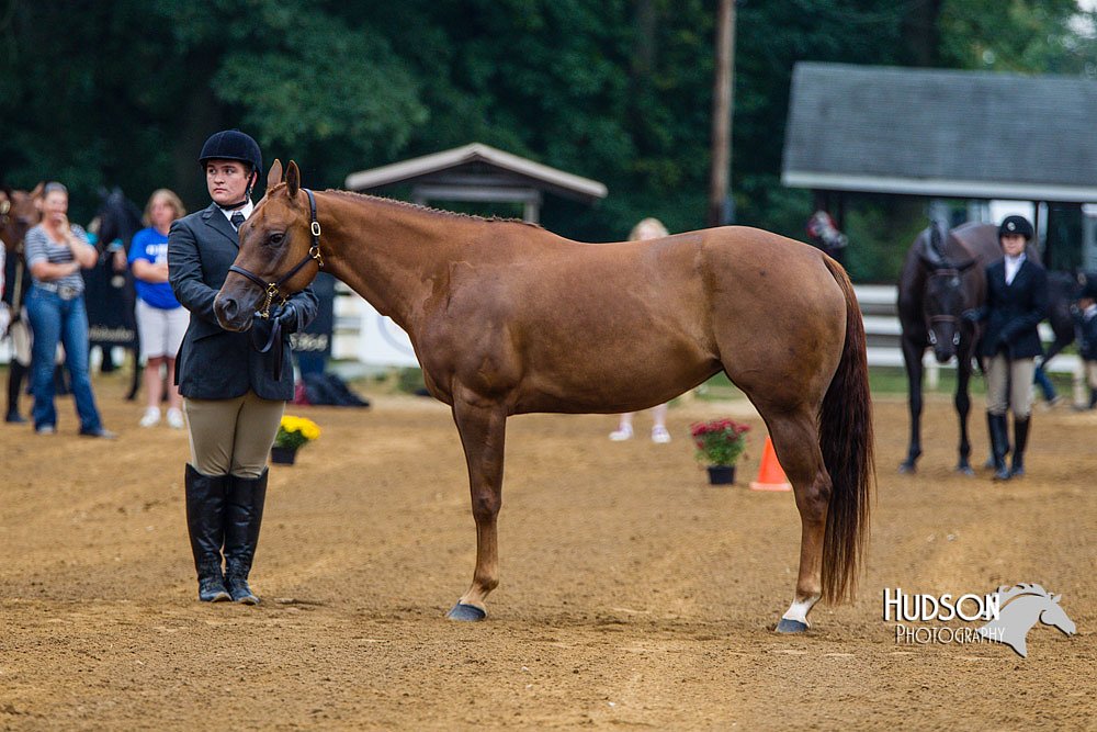 4H-Distr-090813-1282.jpg