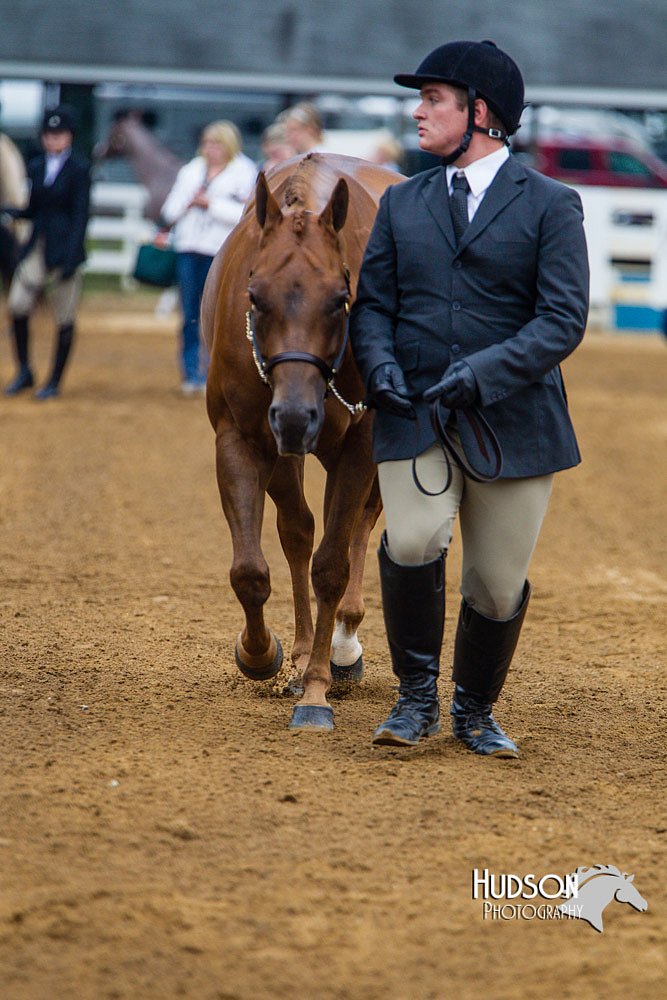 4H-Distr-090813-1285.jpg