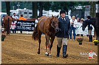 4H-Distr-090813-1275.jpg