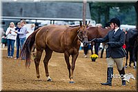 4H-Distr-090813-1283.jpg