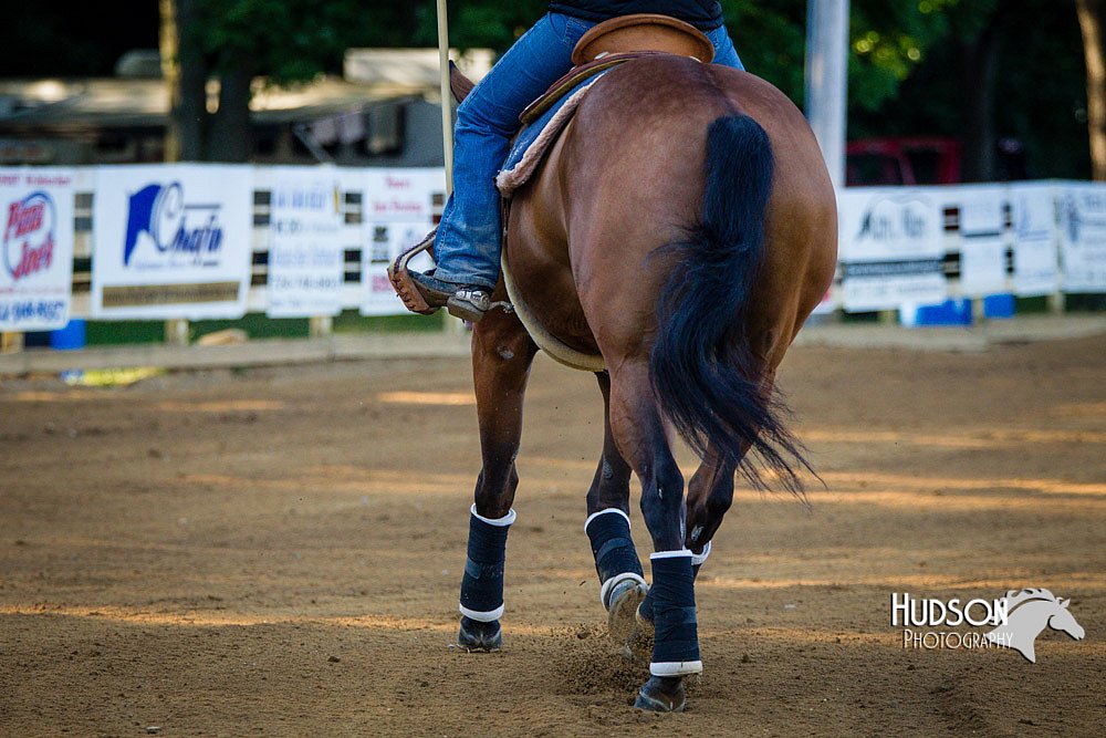 4H-Distr-090713-0536.jpg