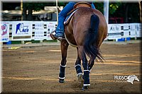 4H-Distr-090713-0536.jpg