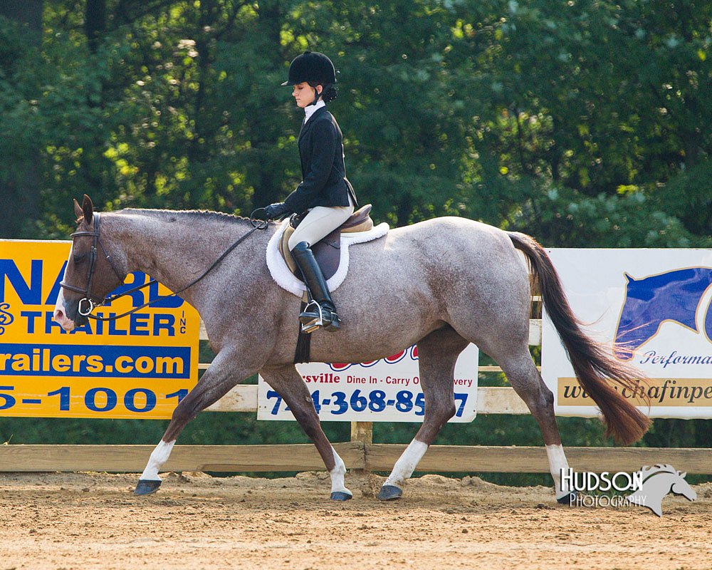 4H-Distr-090813-1377.jpg