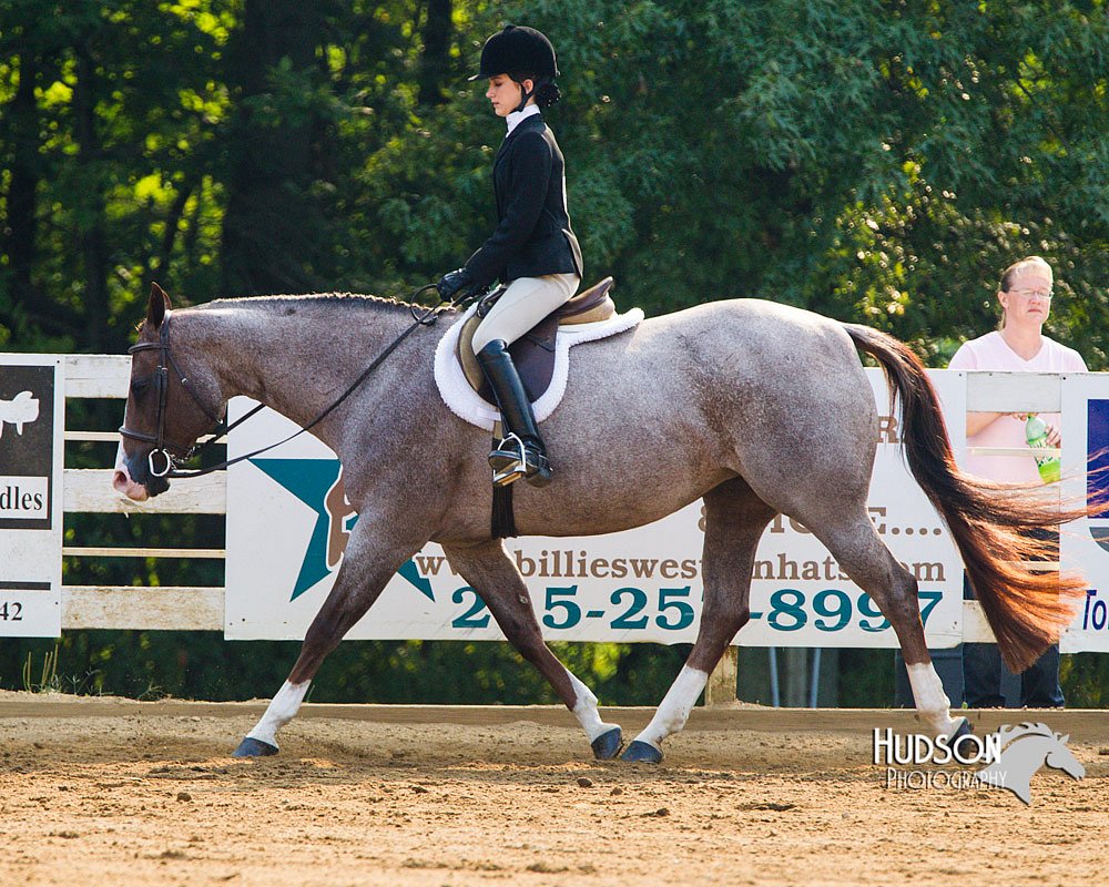 4H-Distr-090813-1378.jpg