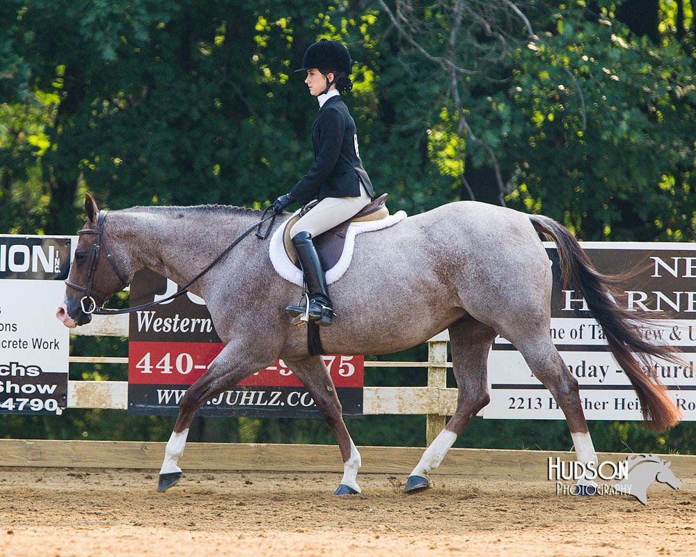 4H-Distr-090813-1379.jpg