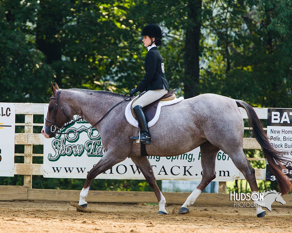4H-Distr-090813-1380.jpg