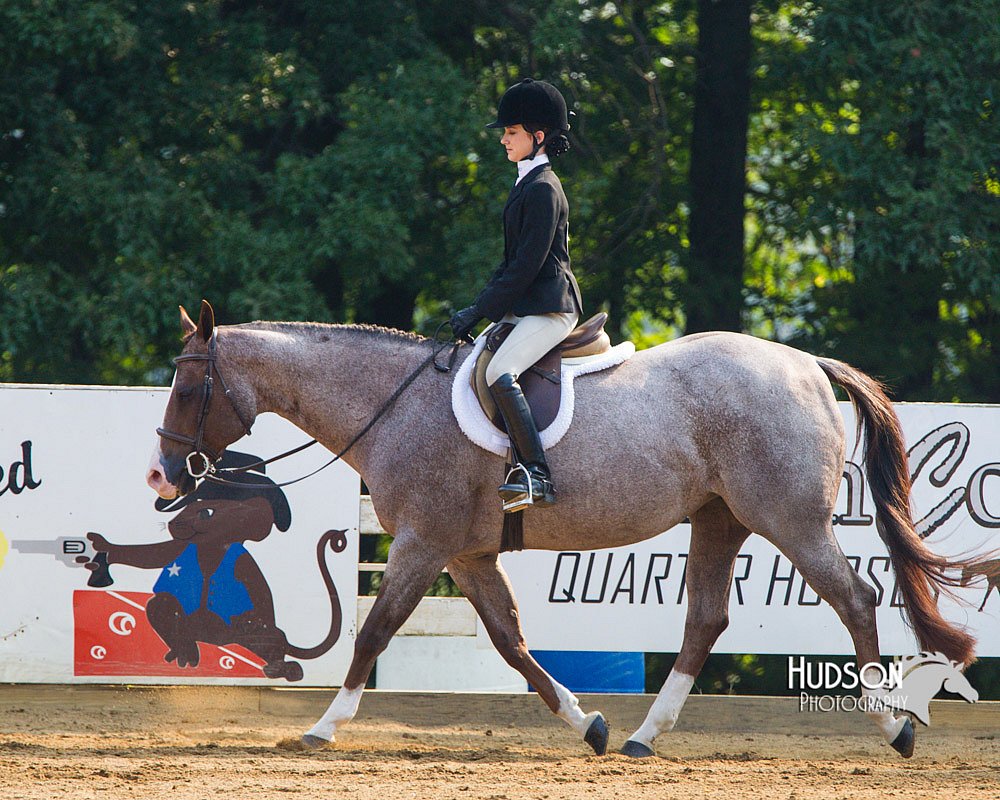 4H-Distr-090813-1381.jpg