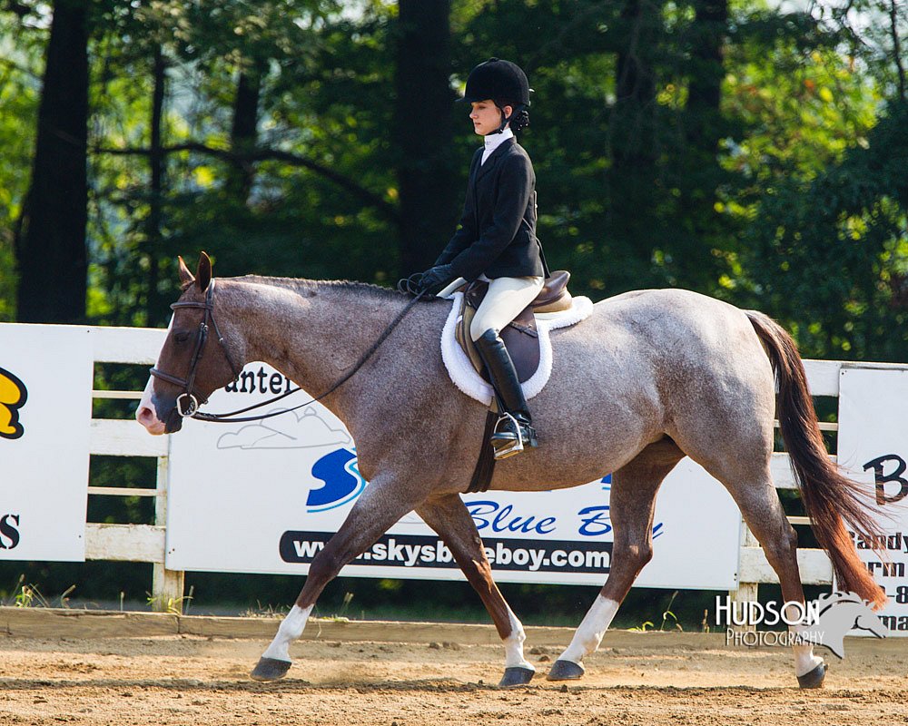 4H-Distr-090813-1382.jpg