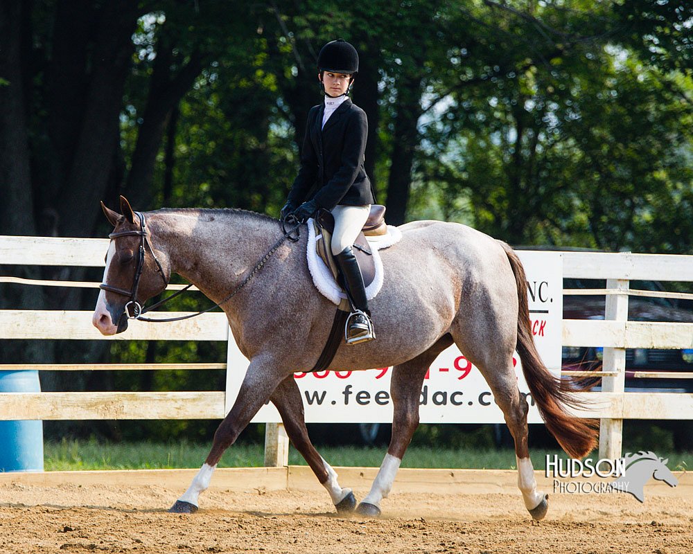 4H-Distr-090813-1383.jpg