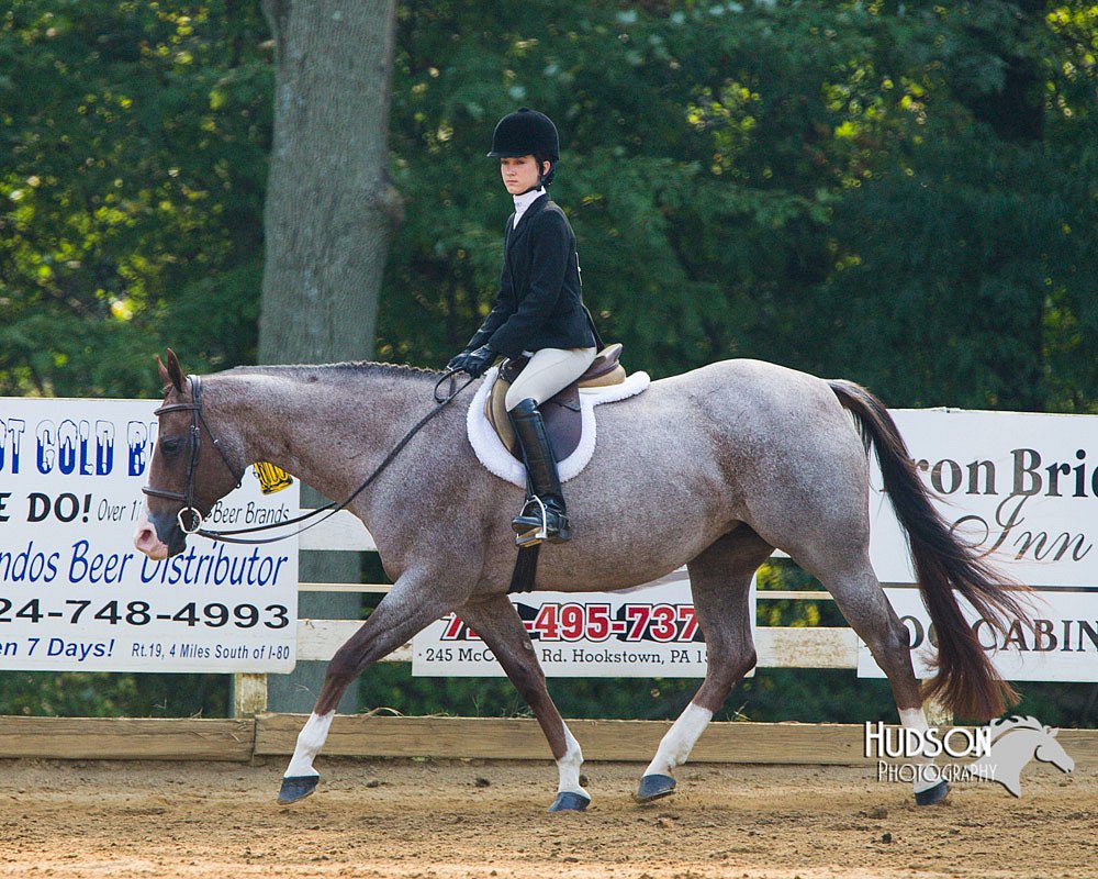 4H-Distr-090813-1384.jpg