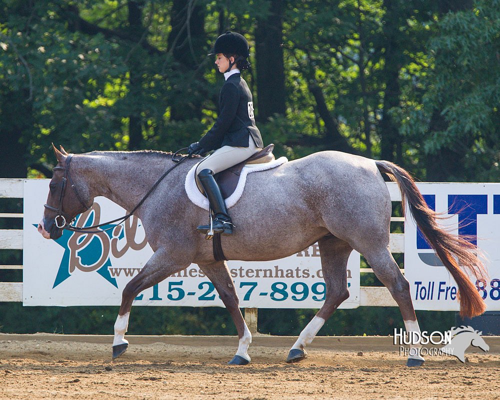 4H-Distr-090813-1385.jpg