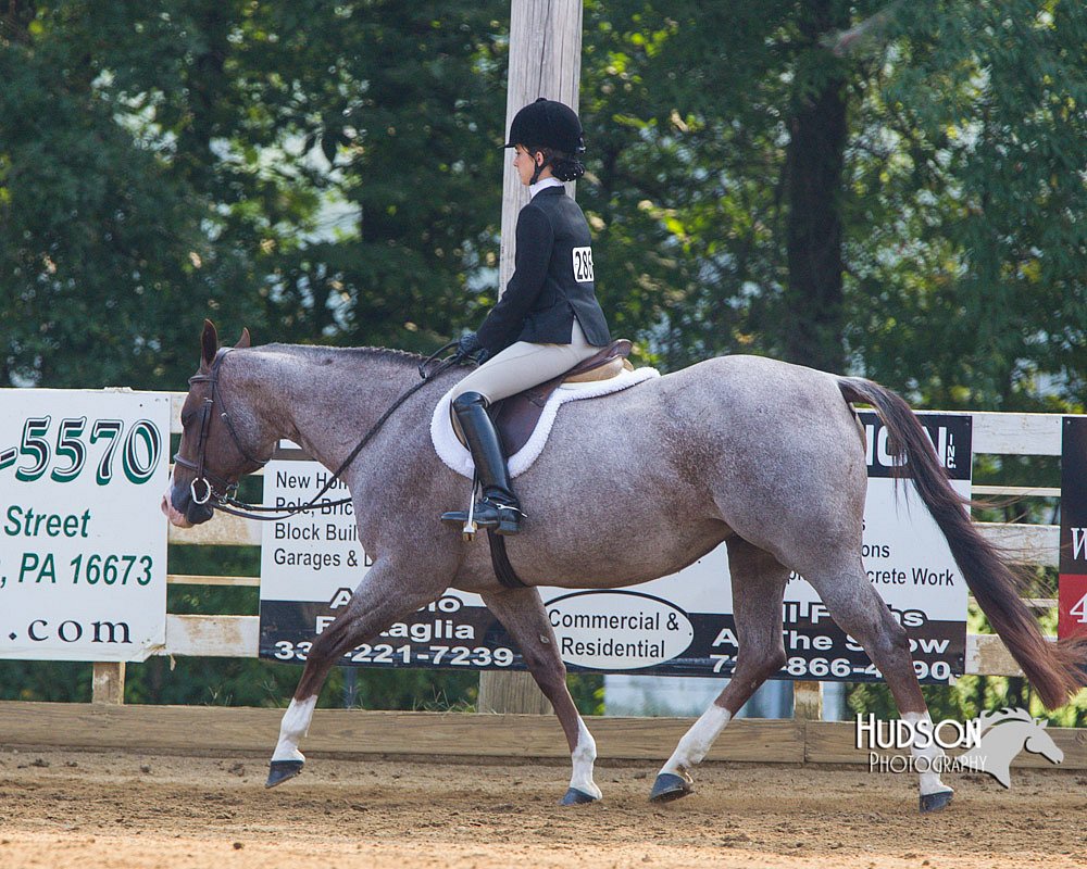 4H-Distr-090813-1386.jpg