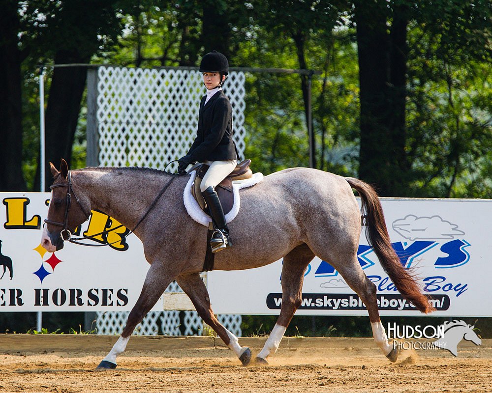 4H-Distr-090813-1387.jpg