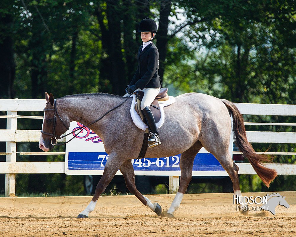 4H-Distr-090813-1389.jpg