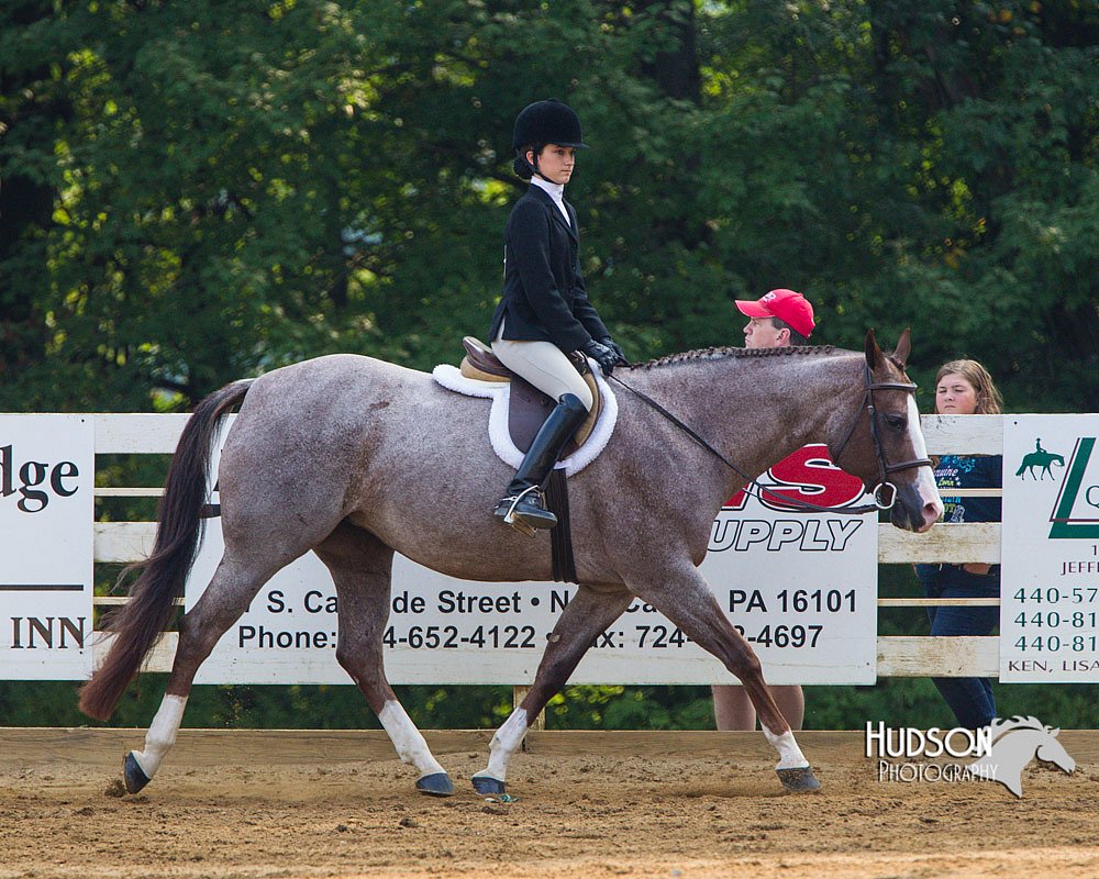 4H-Distr-090813-1395.jpg