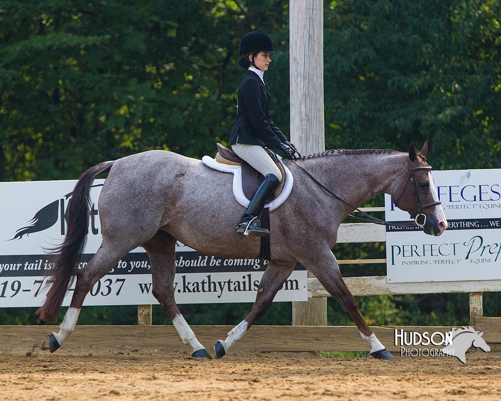 4H-Distr-090813-1397.jpg