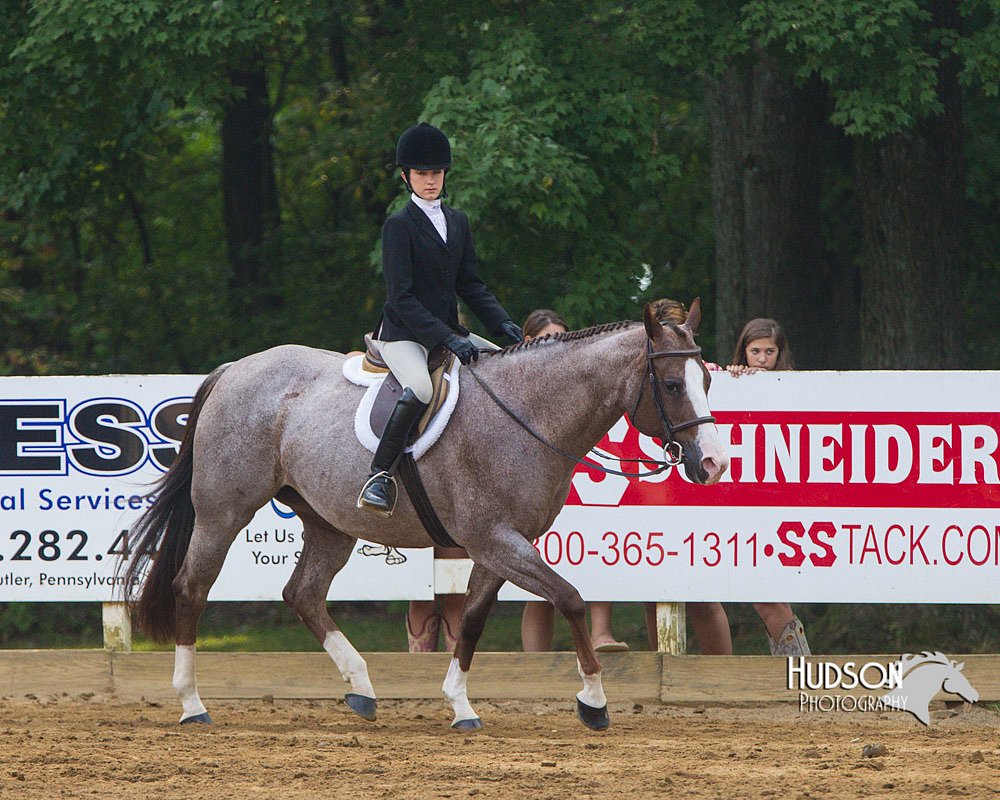 4H-Distr-090813-1399.jpg