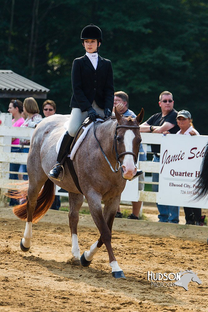 4H-Distr-090813-1401.jpg