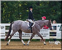 4H-Distr-090813-1395.jpg