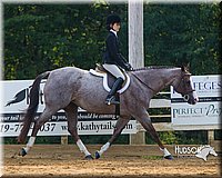 4H-Distr-090813-1397.jpg