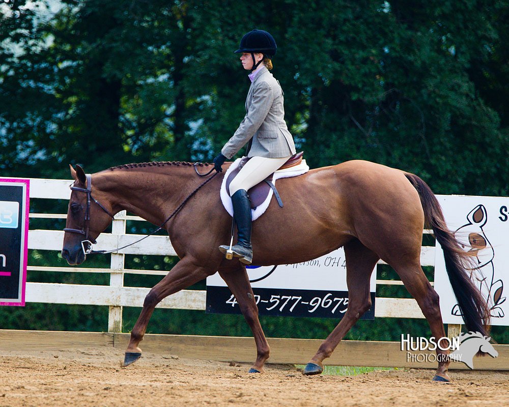 4H-Distr-090813-1349.jpg
