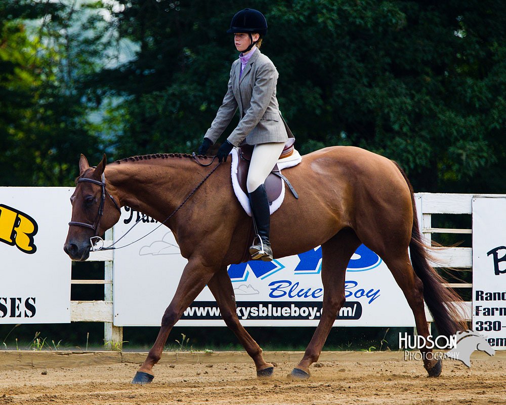 4H-Distr-090813-1350.jpg