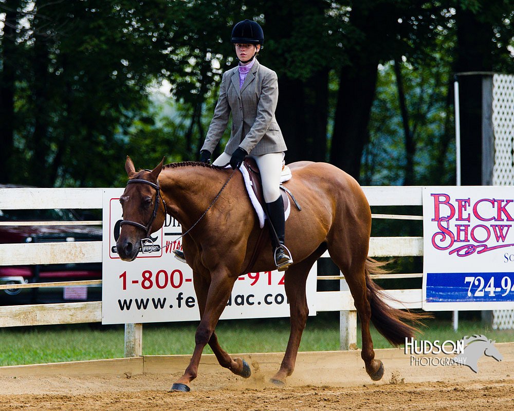 4H-Distr-090813-1351.jpg