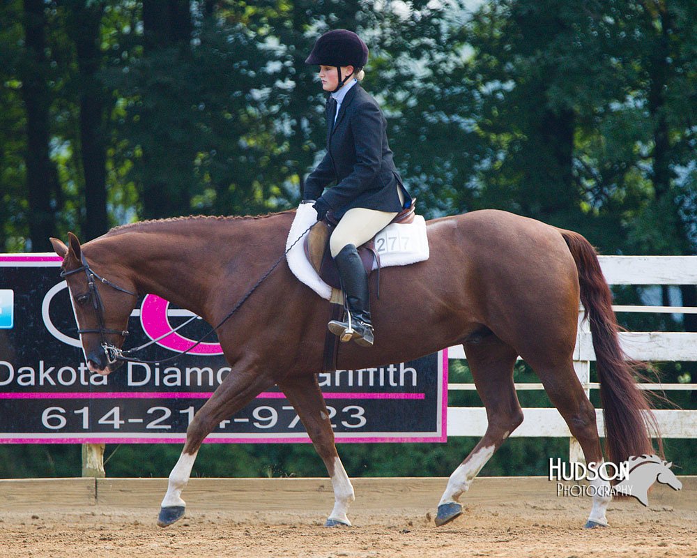 4H-Distr-090813-1354.jpg