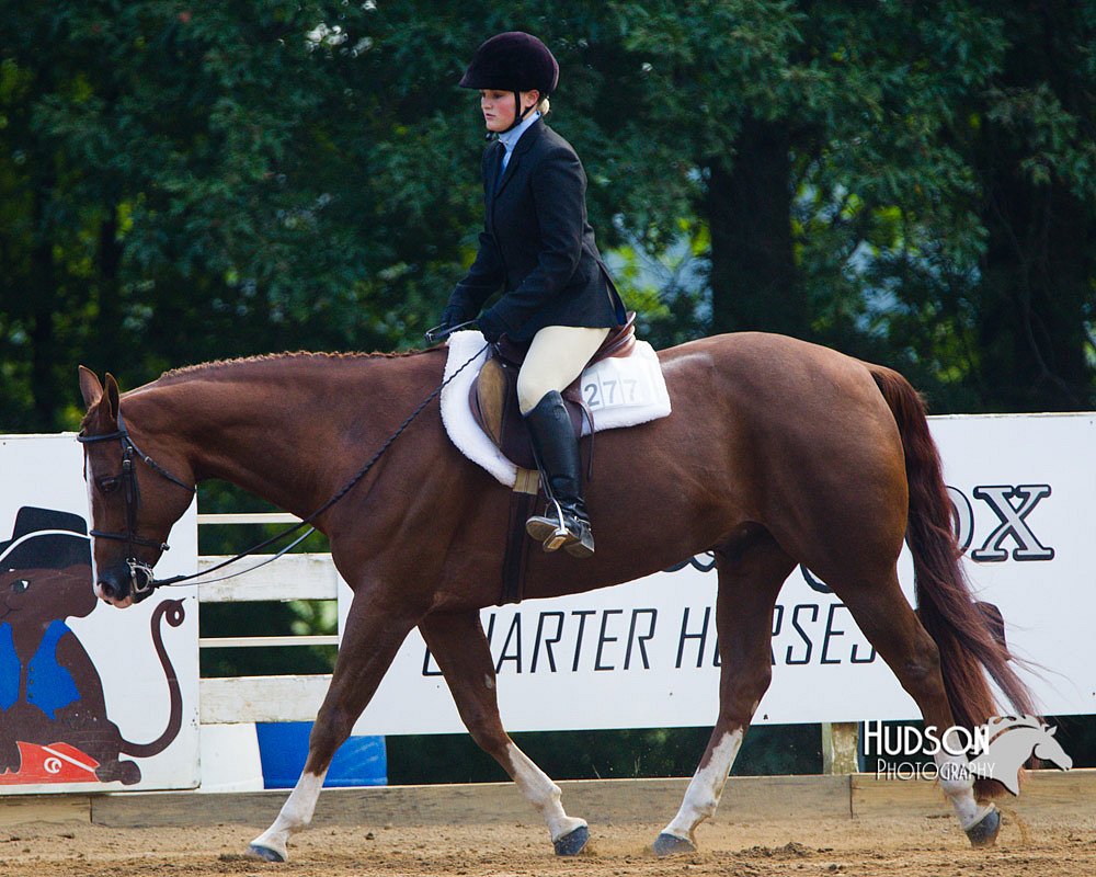 4H-Distr-090813-1355.jpg
