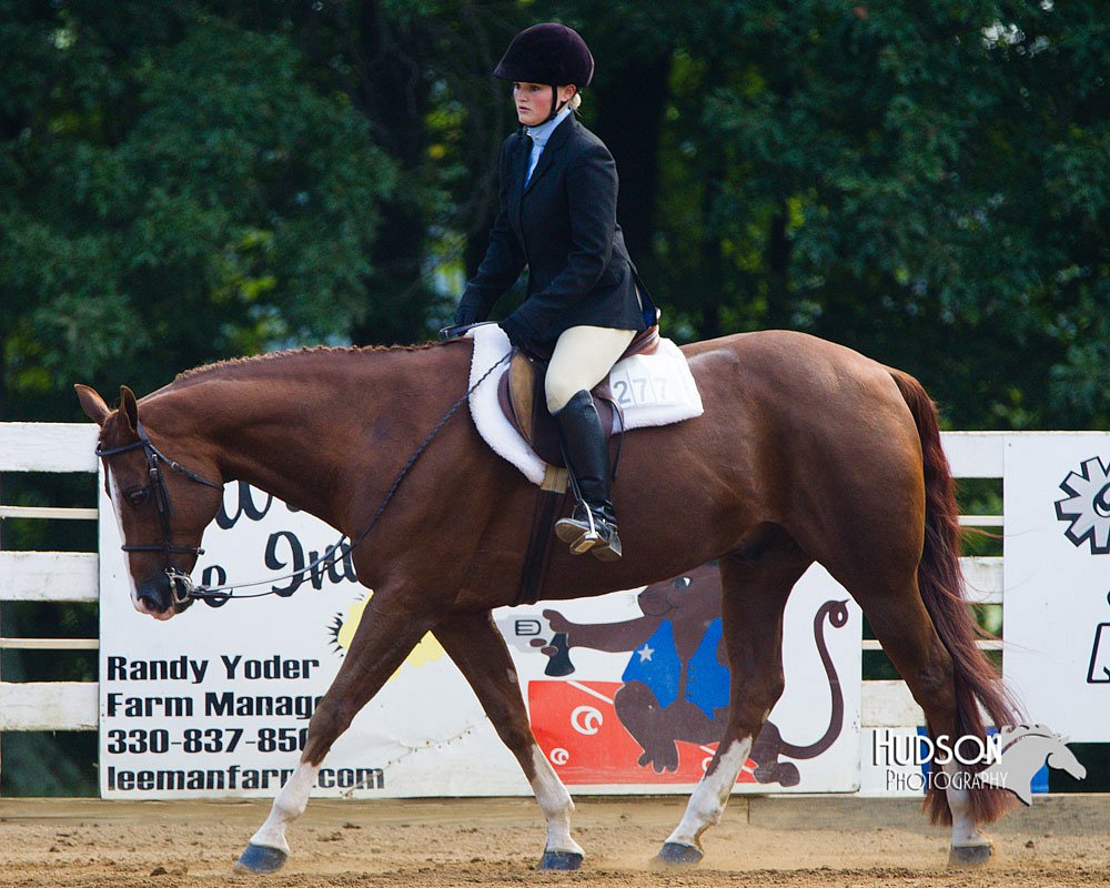4H-Distr-090813-1356.jpg