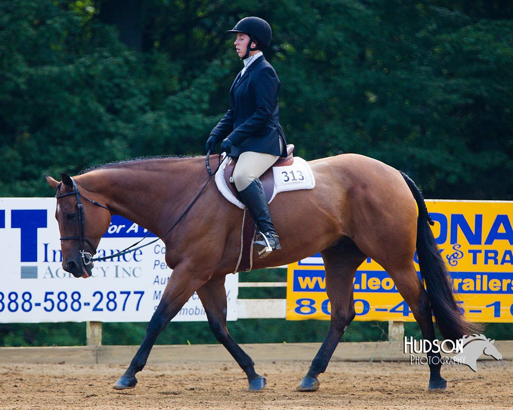4H-Distr-090813-1358.jpg