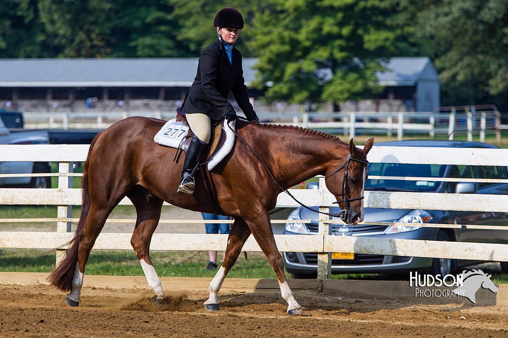 4H-Distr-090813-1362.jpg