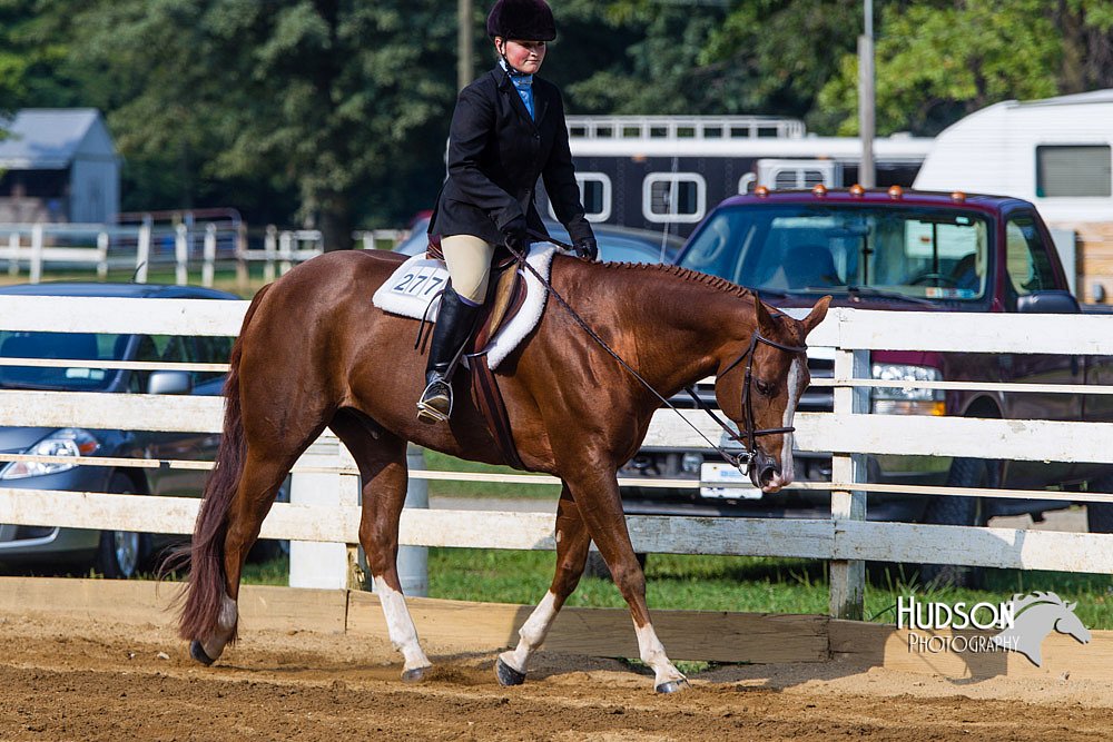 4H-Distr-090813-1364.jpg