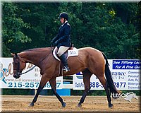 4H-Distr-090813-1335.jpg