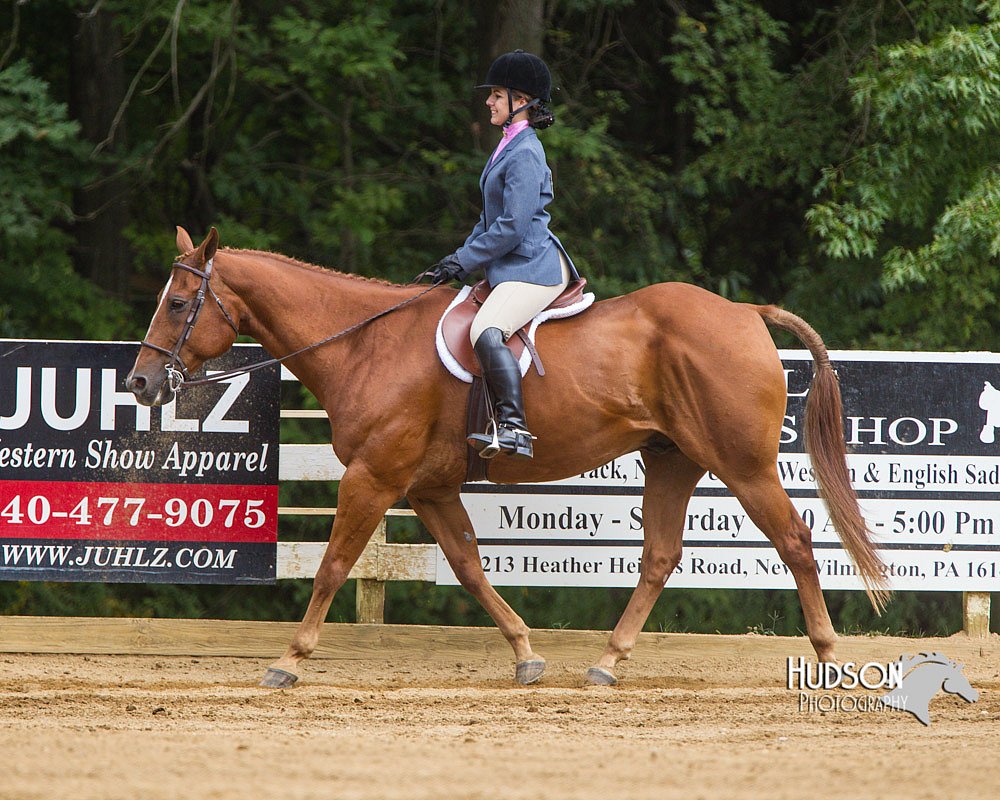 4H-Distr-090813-1652.jpg